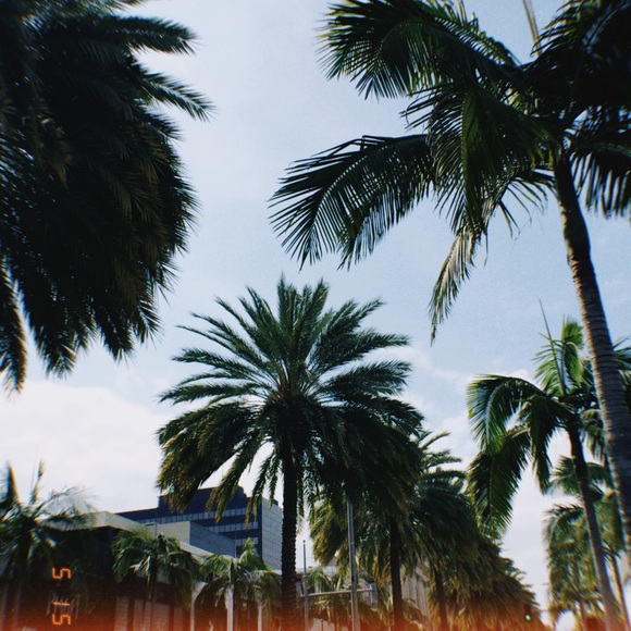 Meet your Posher, Kaitlyn - Picture 1 of 1